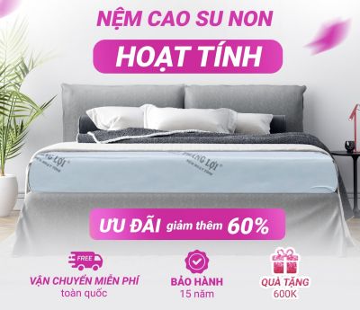 NỆM CAO SU NON HOẠT TÍNH THẮNG LỢI 