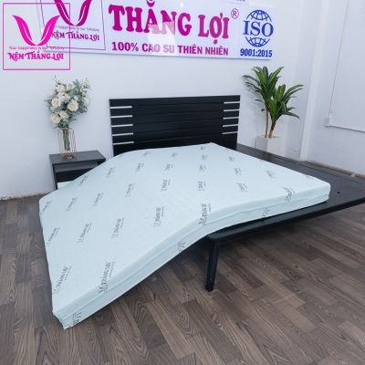 NỆM CAO SU NON HOẠT TÍNH THẮNG LỢI 