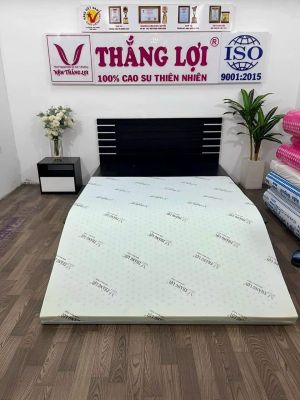 NỆM CAO SU NON HOẠT TÍNH THẮNG LỢI 