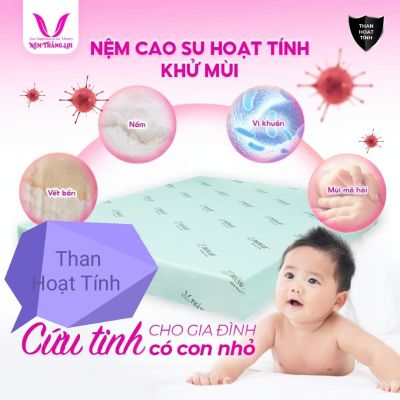 NỆM CAO SU NON HOẠT TÍNH THẮNG LỢI 