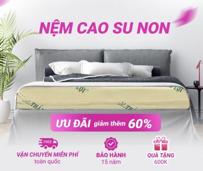 NỆM CAO SU NON THẮNG LỢI