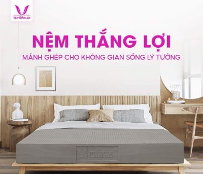 NỆM 100% CAO SU THIÊN NHIÊN THẮNG LỢI BOBO – THAN HOẠT TÍNH