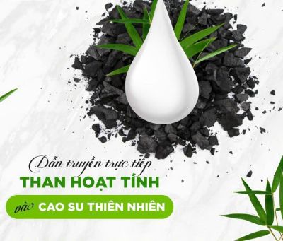 NỆM 100% CAO SU THIÊN NHIÊN THẮNG LỢI BOBO – THAN HOẠT TÍNH