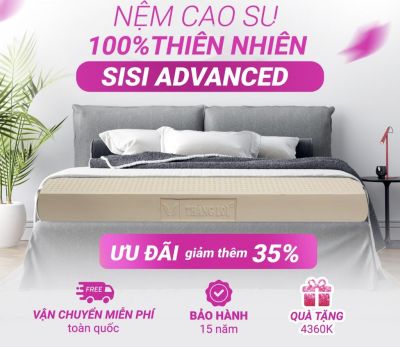 NỆM 100% CAO SU THIÊN NHIÊN THẮNG LỢI SISI – ADVANCED