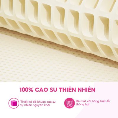 NỆM 100% CAO SU THIÊN NHIÊN THẮNG LỢI SISI – ADVANCED