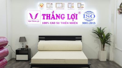 NỆM 100% CAO SU THIÊN NHIÊN THẮNG LỢI SISI – ADVANCED