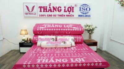 NỆM 100% CAO SU THIÊN NHIÊN THẮNG LỢI SISI – ADVANCED