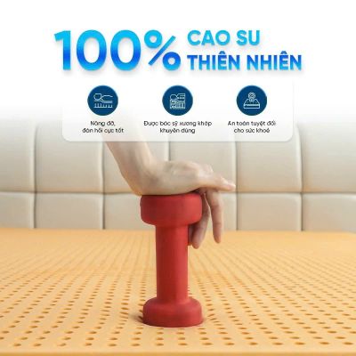 NỆM 100% CAO SU THIÊN NHIÊN THẮNG LỢI SUSU-ORIGINAL