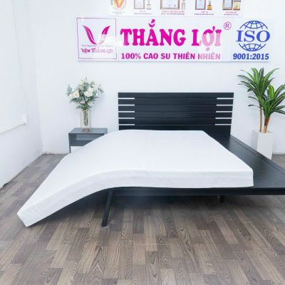 NỆM CAO SU WONDER FOAM THẮNG LỢI