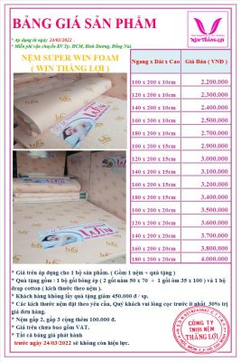 NỆM FOAM THẮNG LỢI SUPER WIN FOAM