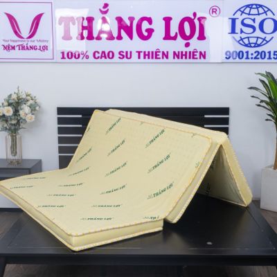 NỆM CAO SU NON THẮNG LỢI – GẤP 3